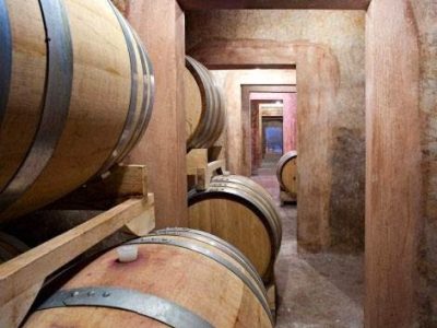 wine tasting symphonya (4)